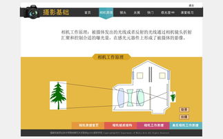 多媒體設計與制作專業 探索移動應用與廣告媒體的視覺創意世界